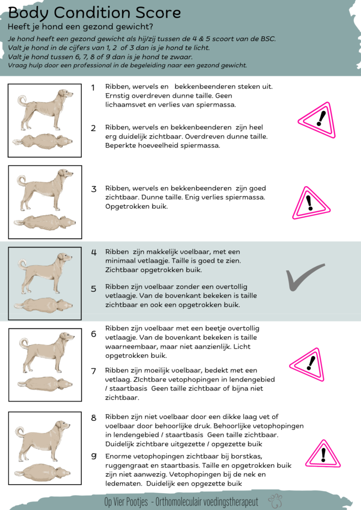 body condition score van jouw hond