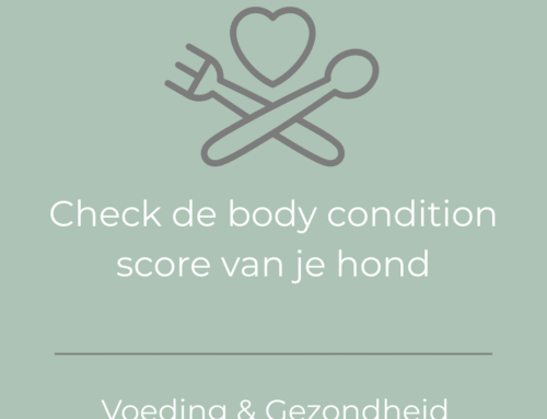 Check de Body Condition Score van jouw hond