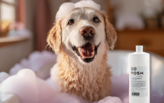 kan je de shampoo van So Posh ook verdunnen