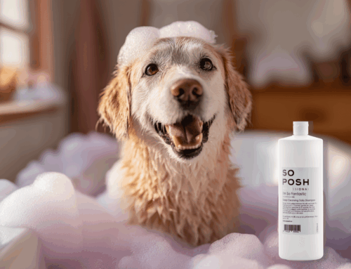 Kun je de shampoo en conditioner van So Posh ook verdunnen?