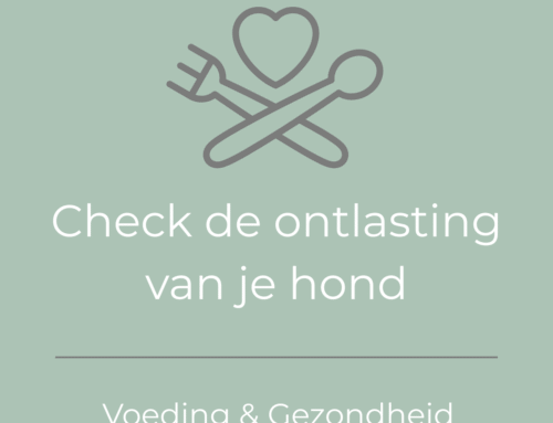 Check de ontlasting van je hond