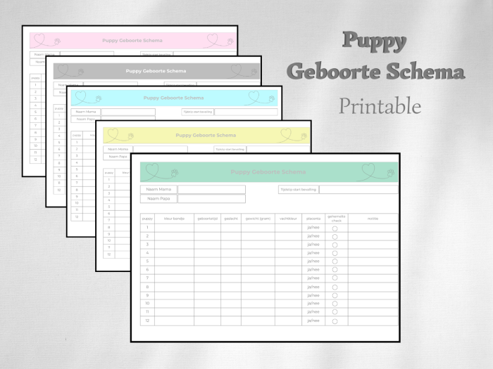 PRINTABLE: GEBOORTESCHEMA PUPJES - Afbeelding 2