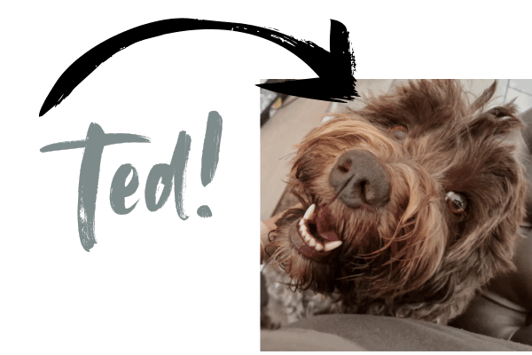 Ted!